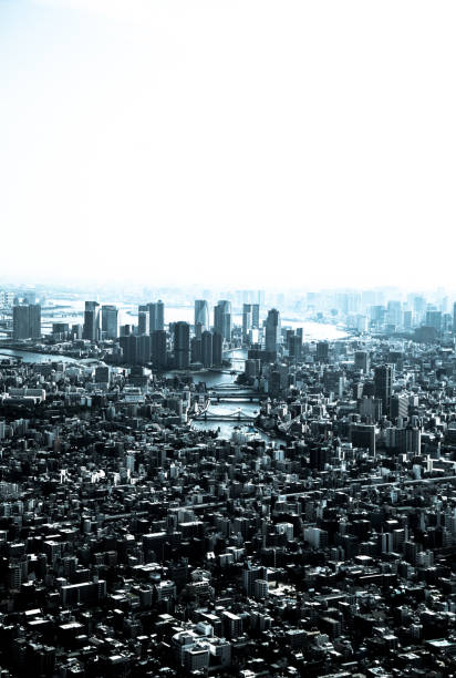 istock Tokyo aerial panorama across skyscraper cityscape 1188384297