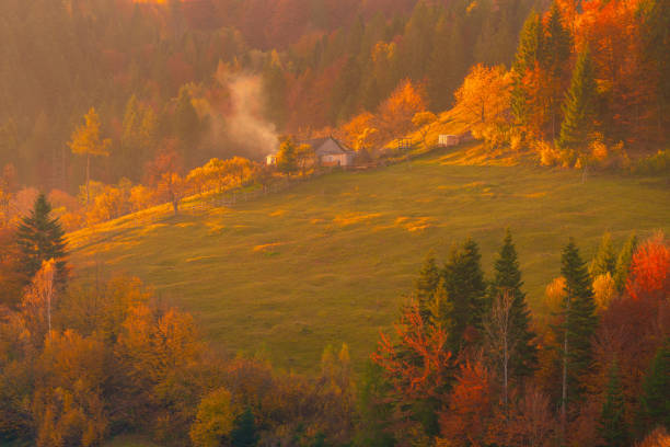 istock Autumn foliage trees in the mountains. Meadow with haystack and forest in the Carpathian mountains 1188384720