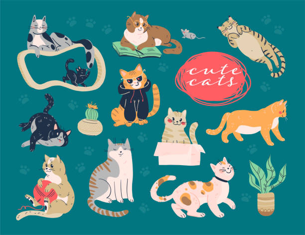 Set of cute funny cats playing with ball of yarn, sitting, hiding in box, smiling, sitting, laying on scratching post isolated on white background. Set of cute funny cats playing with ball of yarn, sitting, hiding in box, smiling, sitting, laying on scratching post isolated on white background. Hand drawn style. Vector illustration. kitten playing with yarn stock illustrations