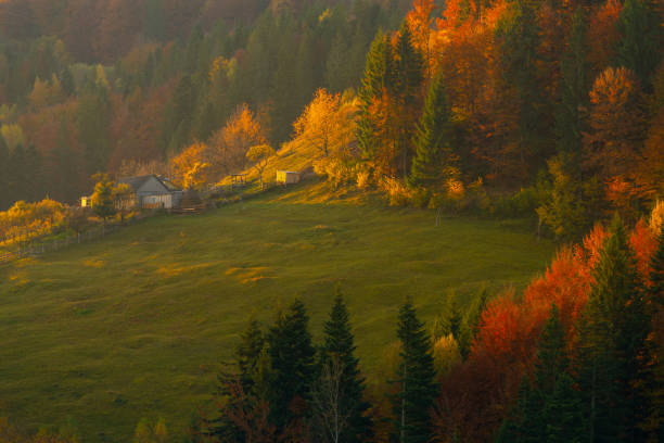 istock Autumn foliage trees in the mountains. Meadow with haystack and forest in the Carpathian mountains 1188385324