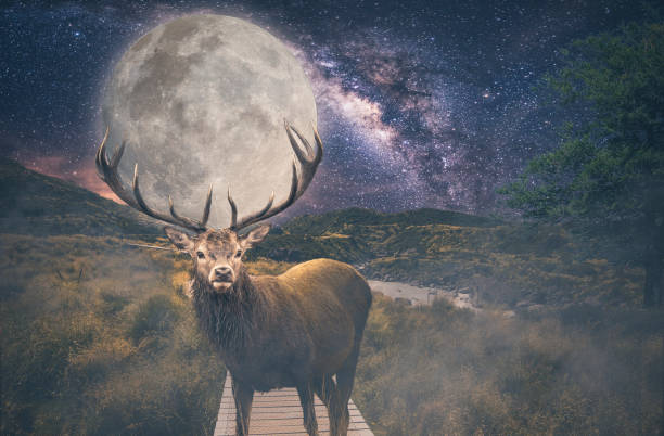 A deer with a moon in his head. That deer is carrying the whole universe.