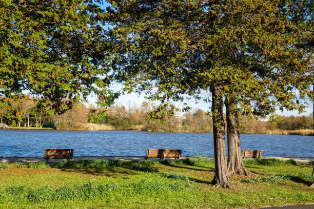 istock Park in autumn.Autumn landscape background. 1188385916