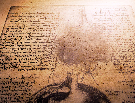 14th century anatomy art by Leonardo Da Vinci