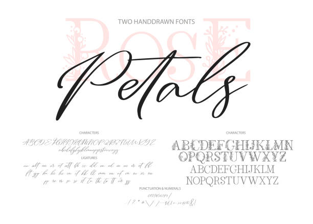 Hand drawn vector font. Hand drawn calligraphic vector duo font. Distress grunge texture. Modern script calligraphy type. ABC typography latin alphabet. Two fonts. handwriting stock illustrations