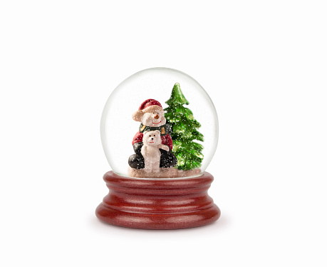 Christmas snow globe isolated on white. Can be used as a Christmas or a New Year gift or symbol. Christmas and New Year design element. Toy glass snow globe with snowman and bear. Snow ball on white.