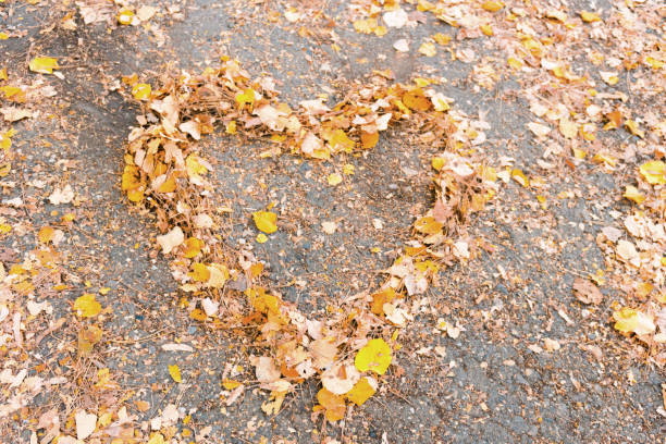 istock Heart shaped autumn leaves. 1188396352