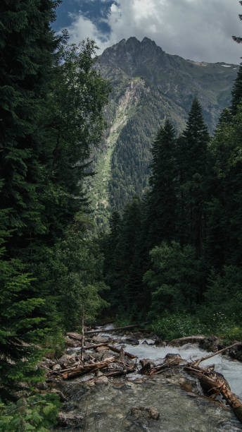 istock The beginning of the majestic mountain river 1188397231