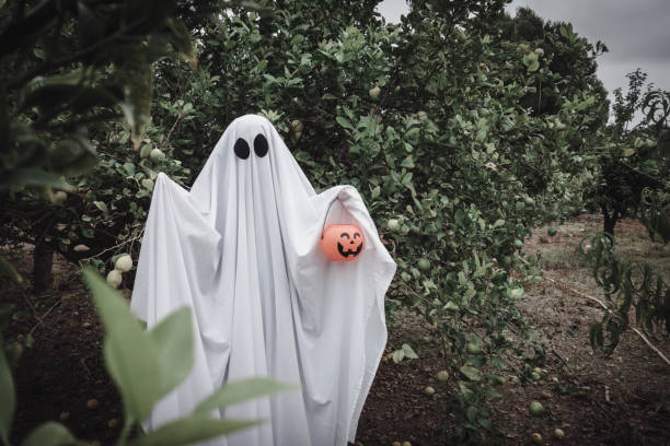 istock Ghost covered with a white ghost sheet on a forest with halloween pumpkin candy jar. 1188398357