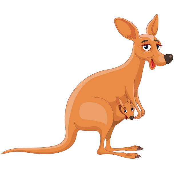 Kangaroo with Joey Kangaroo with Joey - Cartoon Vector Image joey stock illustrations