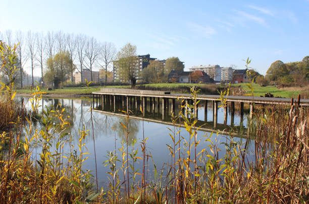 New Park Rozekensbos, Aalst, Belgium stock photo