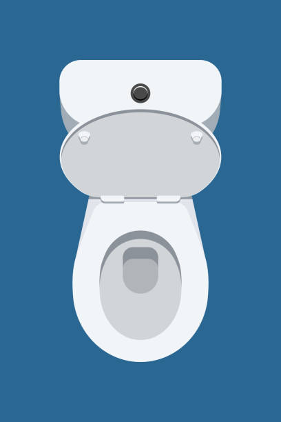 Toilet bowl Top view of toilet bowl with open lid isolated on blue background. Vector illustration flushing toilet stock illustrations