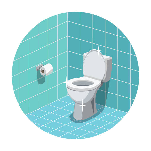 Washroom with clean toilet bowl Washroom interior with clean and shiny toilet bowl and toilet paper.  Vector illustration public restroom stock illustrations