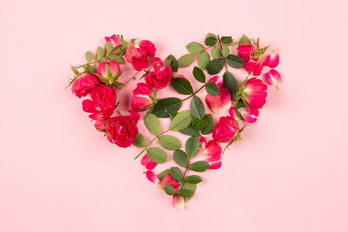 Decorative floral heart of roses and leaves on pink background