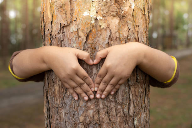 istock Woman hug the tree 1188406546