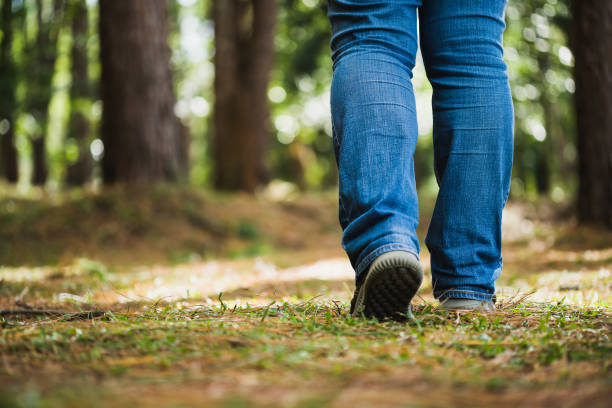 istock Close up legs walking to the pine forest 1188406558