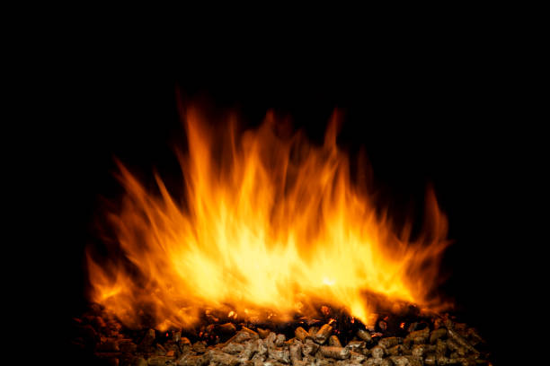 burning wood pellets, living flame and clearly visible. concept of biomass and alternative and natural fuel.