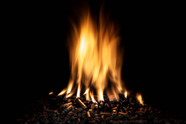 wood pellet burning with a live flame. ecological fuel concept.