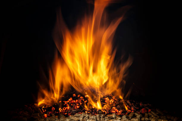 wood pellet burning with a live flame. ecological fuel concept.