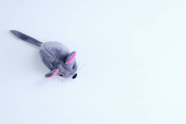 Gray soft mouse toy on a white background. View from above.
