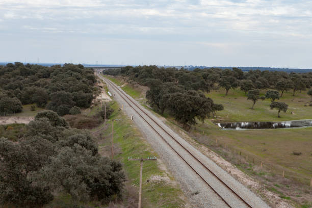 istock Railway track in a green field 1188412333