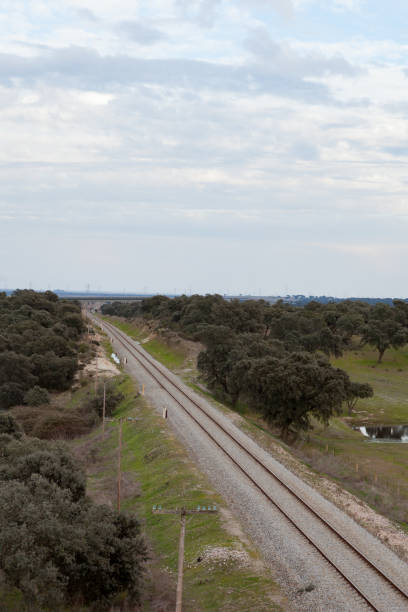istock Railway track in a green field 1188412400