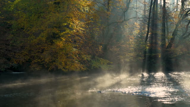 Morning fog on the river, Wupper, Germany