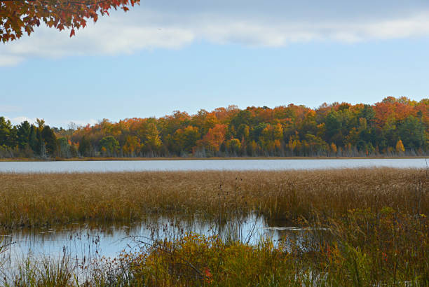 istock Fall Colors At Mud Lake in Leelanau State Park, Michigan 1188417199