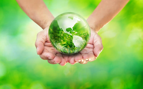 istock Hands holding globe glass earth with green grass field in side, Environmental Friendly Concept 1188417379