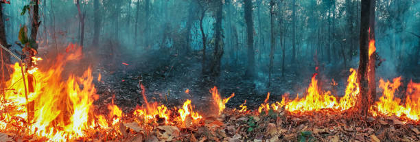 istock Australia bushfires, The fire is fueled by wind and heat. 1188418983