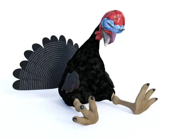 Photo of 3D rendering of a silly tired toon turkey