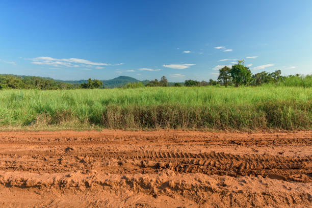 istock Dirt roadside view with the meadow 1188419548