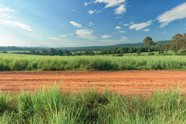 istock Dirt roadside view with the meadow 1188419676