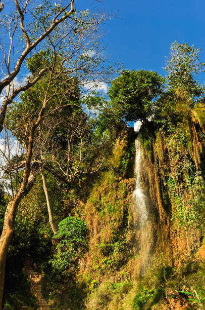 istock Tree lush greenery and white curtain flowing in Dai Yem (Pink Blouse) waterfall Son La, Vietnam 1188422066