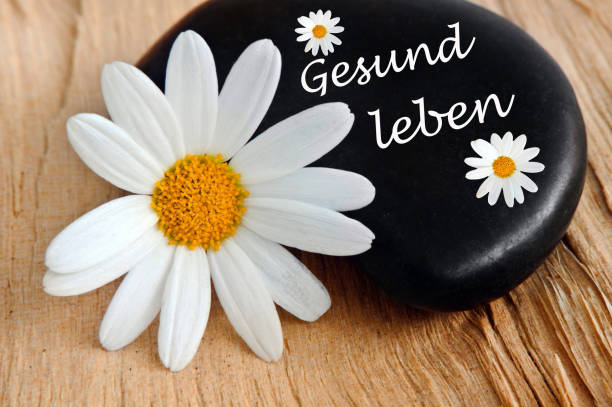 istock German healthy living concept stone with daisy as background 1188422348