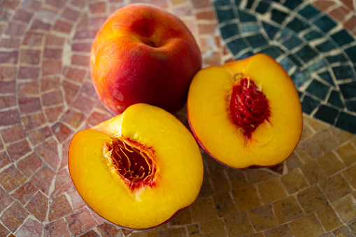 Apricot tree orchard