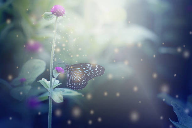 istock Close up butterfly on flowers and soft blurred abstract nature background. 1188425029