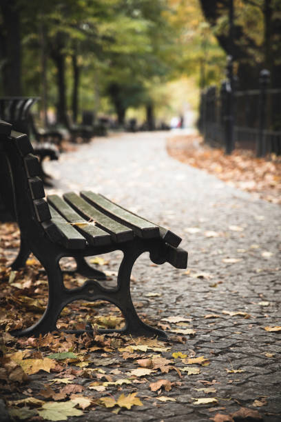 istock autumn afternoon in the city boulevard 1188426280
