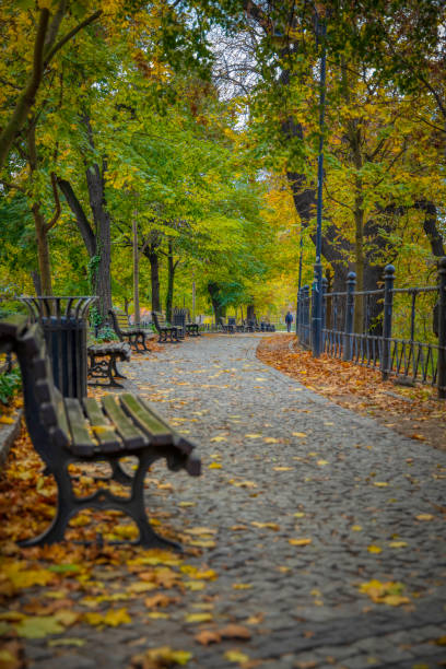 istock autumn afternoon in the city boulevard (HDRi) 1188426285