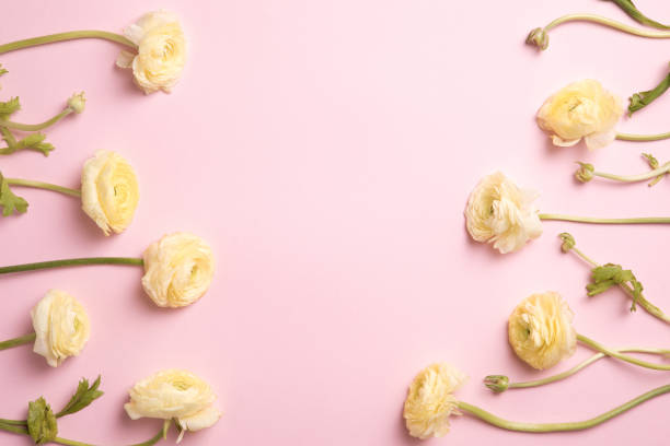 istock Flowers composition with flowers on pastel pink background. Flat lay, top view, copy space 1188426931