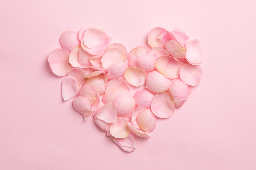 Heart from gentle rose petals on pink background