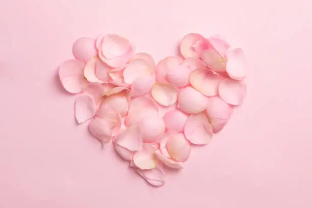Photo of Heart from gentle rose petals on pink background