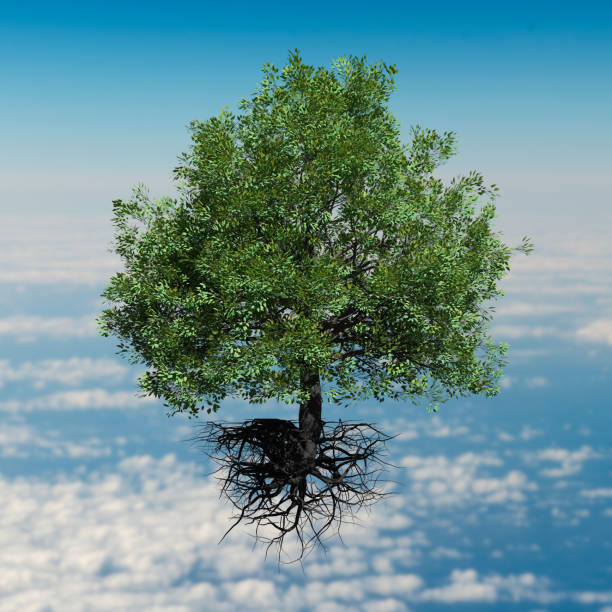 istock beautiful tree with roots floating in the sky 1188428139