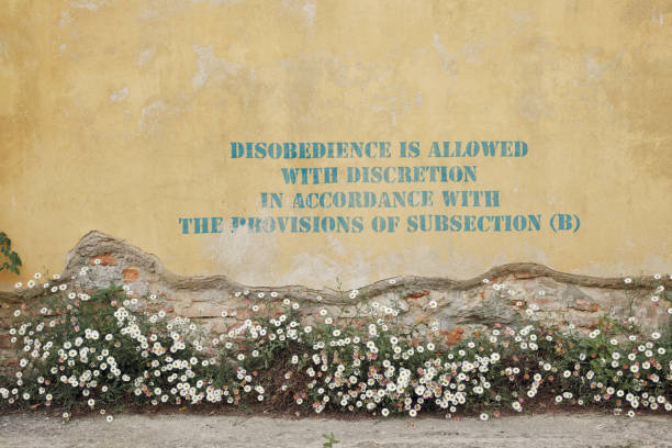 irony and sarcasm on rules and regulations “Disobedience is allowed with discretion in accordance with the provisions of subsection (b)” is written on this wall. *** The text was digitally superimposed and a release is provided *** rules quotes stock pictures, royalty-free photos & images