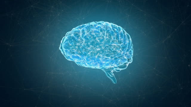 Neurons inside a human brain
