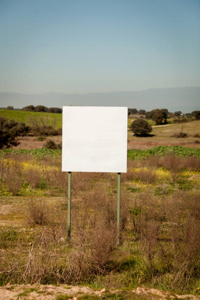 istock Beautiful meadow with a blank cartel 1188437887