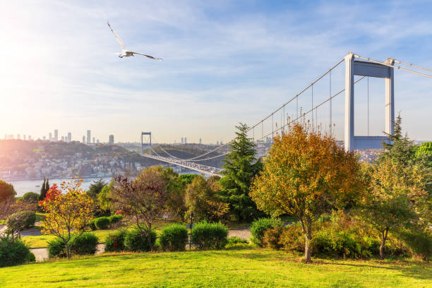 istock Fatih Sultan Bridge over the Bosphorus in Istanbul, view from the Otagtepe park 1188441909