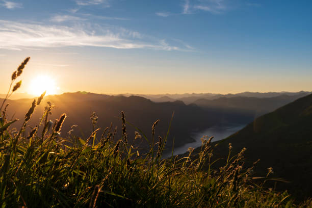 istock The grass backlit from the sun, with a view on Como Lake 1188442961