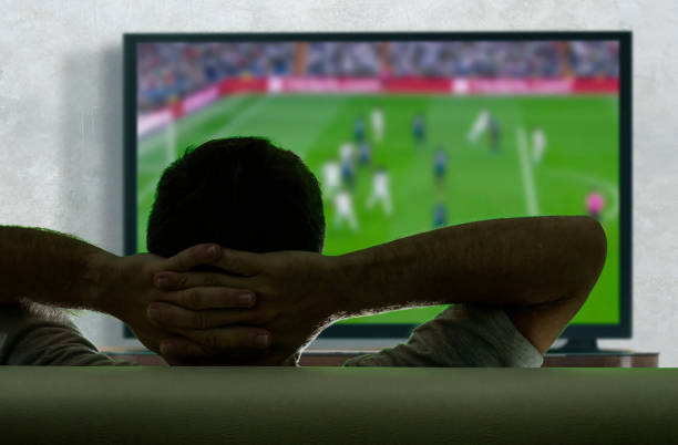 リビングルームソファソファで大画面テレビでヨーロッパのサッカーの試合を見て、若くて幸せなサッカーファンの後ろから見て、彼のチームを応援する感情を感じる - fan television football watching tv ストックフォトと画像
