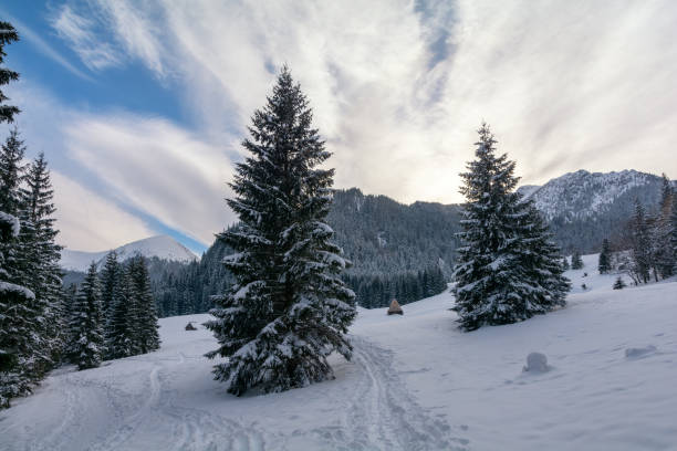 istock View on Tatra mountains during winter, Zakopane, Poland 1188444763