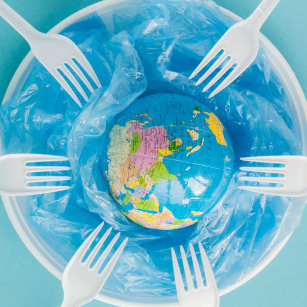 istock Globe on a plastic plate. The concept of ecology, land conservation 1188445824